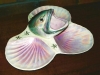 dhufish-seafood-platter-43cm