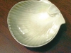 scallop-shell-9-5cm-wide